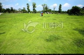 青青青草国产免费,国产影视的清新之作